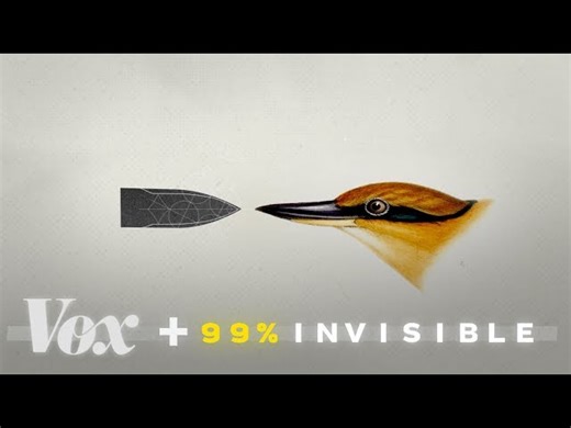 Copying Nature to Help Design Our World