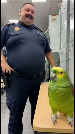 🦜🚔 “El loro que humilló al policía en el vestuario” 😂 | Humor español realista