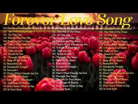 80s & 90s Best Love Songs | Relaxing Acoustic Ballads (Oldies But Goodies)