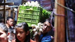 Redefining smallholder farmer inclusion in modern value chains: three ways forward