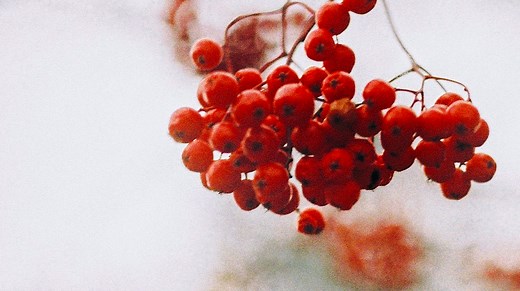 导学（三）| 一个CPU是怎么寻址的？-编程高手必学的内存知识-极客时间