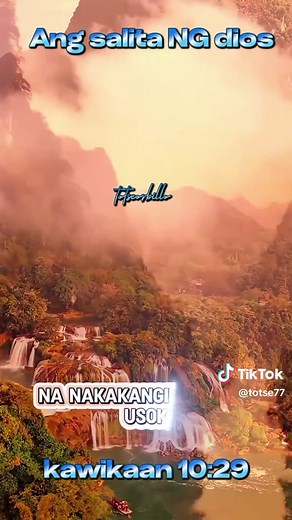 Totse on TikTok