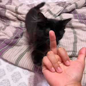 danielmasterjack - Twitch