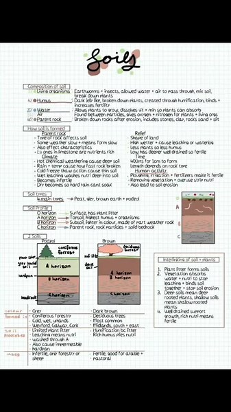 #GEOGRAPHY Soils #studytips #studytok #juniorcert #jctips #jc2023 #jcgeography #soils #1styears #2ndyears #3rdyears #3rdyearstudent