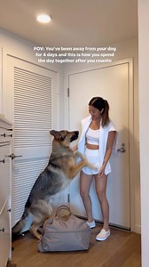 Can you guess our love language? 🥰 I had a wonderful weekend but it's so good to be back home! . . . #dogsofinstagram #gsd #germanshepherd #lovelanguage #pets | Stephanie Ho