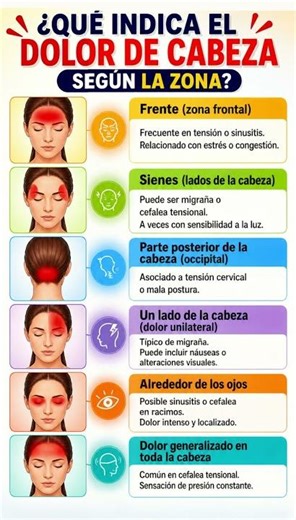 🧠 Dolor de cabeza por zonas ⚠️ causas y síntomas