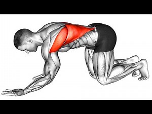 The Best Home Exercises for Back and Posture