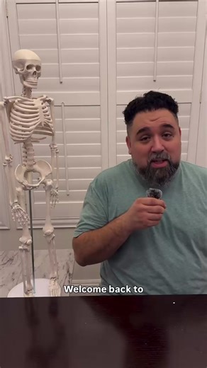 Exploring Multifidus and Rotatores in Massage Therapy