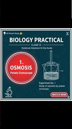 Class 12 Biology Practical 1: Potato Osmoscope.