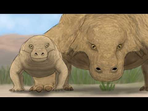 How Scutosaurus Survived the Harshest Time in History