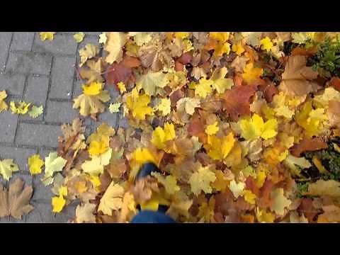 Sound of rustling leaves