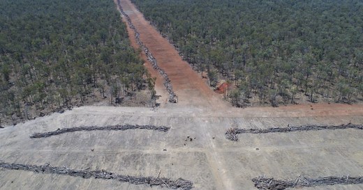10 facts about deforestation in Australia