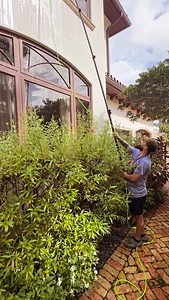 #glassylady #windowcleaning #windowcleaninglife #windowcleaner #lasolasblvd | Glassy Lady Window Cleaning | Facebook