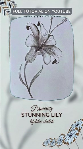 Draw a Beautiful Lily in Minutes | Easy Pencil Sketch!