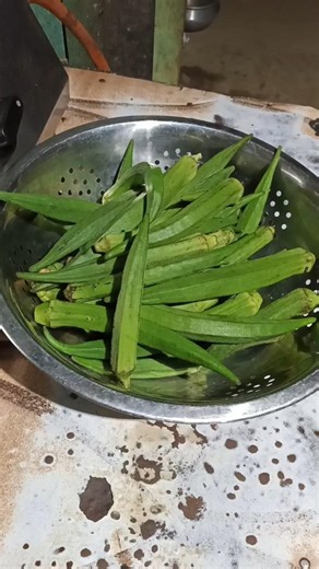 Crispy Bhindi Bhujia Recipe | Kurkuri Bhindi Fry | Easy & Tasty Bhindi Sabzi