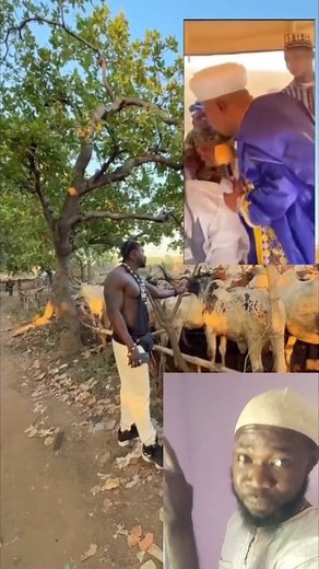 Se oro ti VDM so si awon AFA yi da abi koda #comment #ShareThisPost #fypシ゚viralシ | powerconceptpro