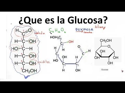 What is glucose?
