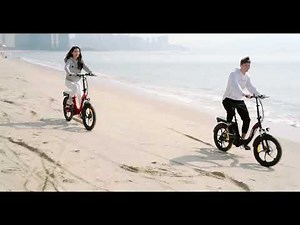 Fafrees F20 20 inch 250W Folding Step-through Electric Bike 36V 15AH 25km/h 120km
