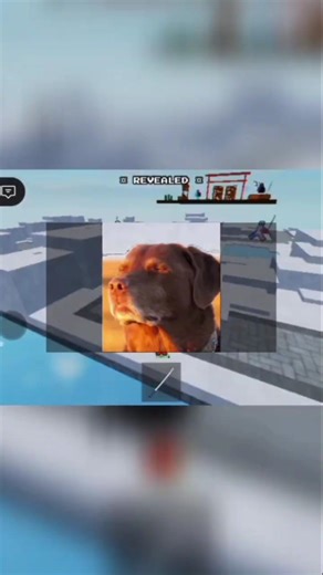 They reveal themselves for 1 second....I strike⚔️#roblox#robloxshorts#assassin#stealth#ytshorts