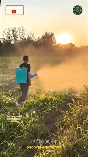 Amazing Blower Sprayer Machine