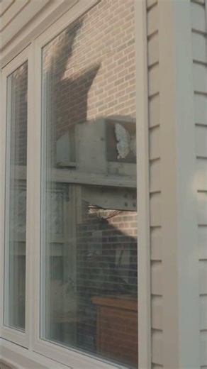 Fresh Home Upgrade with New Windows #shorts