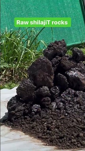 This is What REAL Shilajit Looks Like