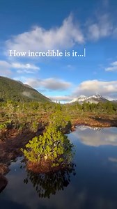 1.1K views · 244 reactions | Just ask anyone who’s been here: Sitka, Alaska truly is incredible! : @sitkatravel #visitsitka #sitkaalaska #travelalaska #alaskabeauty | Visit Sitka | Facebook