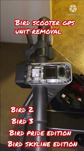 Bird scooter Gps removal #shorts