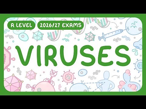 A-Level Biology - Viruses | Structure of Viruses (2026/27 exmas)