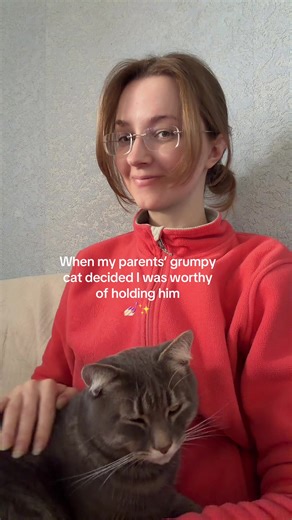 Why This Grumpy Cat Refused to Move for an Hour