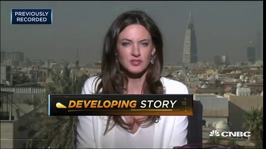 Saudi Arabia's economic reform plans are behind anti-corruption crackdown: Gamble