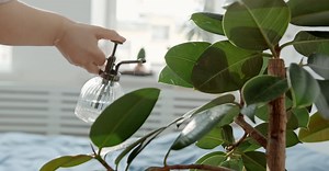 Video by Ron Lach  on Pexels