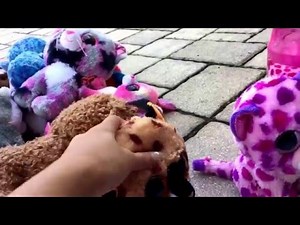 Beanie Boo Dreams - POOL PARTY