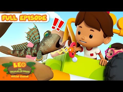 Catch that walking fish! | Full Episode | Leo the Wildlife Ranger | Kids Cartoons