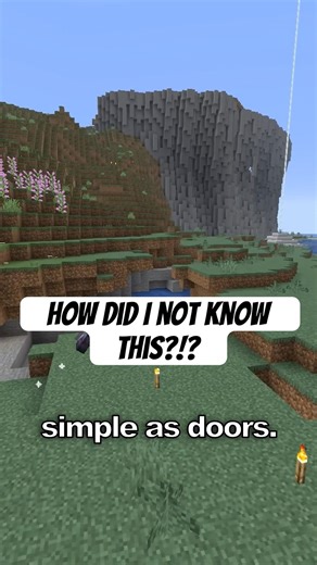 Doors in Minecraft, but make them better