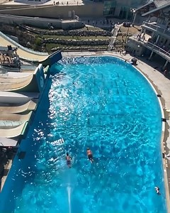 13M views · 28K reactions | What do you think about High Diving synchro? 樂 #FINA #highdiving #Repost  : High Diving Institute | World Aquatics | Facebook