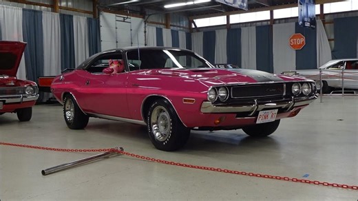 1970 Dodge Challenger R/T in Panther Pink