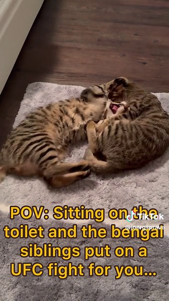 Jörg Sprave on TikTok