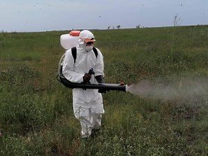 8.9K views · 489 reactions | Namibian on Wednesday announced the outbreak of red locust in the central north Otjozondjupa region xhne.ws/zxO9l | China Xinhua News | Facebook