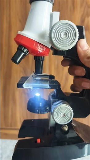 onion cell under 🔬 microscope