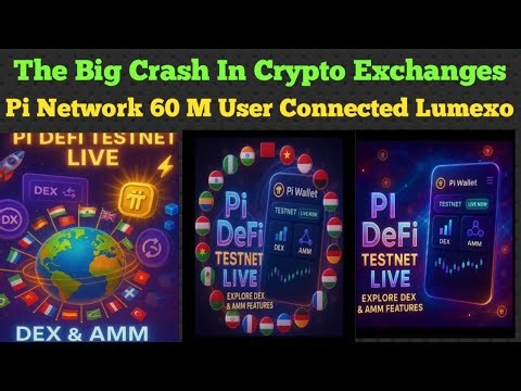 The Big Crash Exchanges | Pi Network With Lumexo | Pi Network New Update Pi News