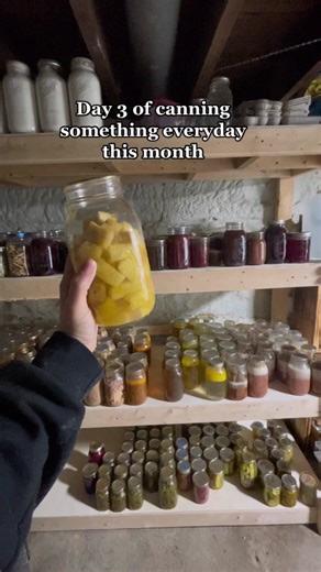 Easy Pineapple Canning Tutorial Without Sugar