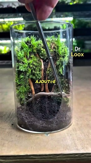 Ce bocal peut valoir des centaines d’euros