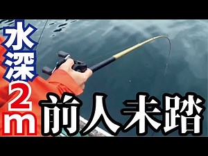 Unprecedented! A great success in catching a kingfisher from just 2 meters deep (Episode 962)