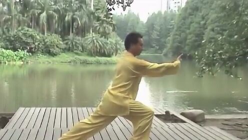 42式太极拳全套动作慢速演练教学视频