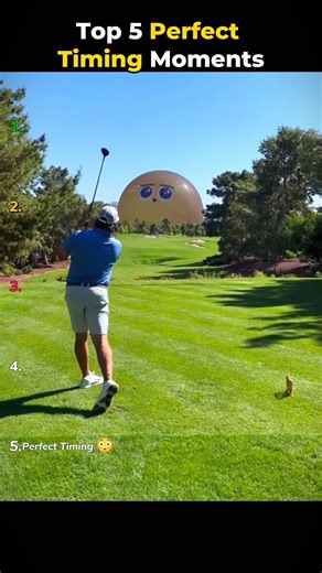 Top 5 Perfectly Timed Moments You Won’t Believe 😳 #shorts