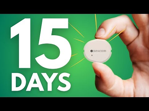 Dexcom G7 15 Day Explained