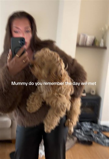 Emotional Dog Trend: Sucker for a Dog