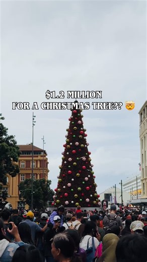 Auckland’s $1.2 million Christmas tree is back in the CBD!🎄✨ This iconic, free holiday display is a must-see for all ages and a yearly tradition that officially kicks off the Christmas season. Don’t miss the chance to experience the magic in person. 📍 Lower Queen Street, Auckland CBD 🎄 $1.2 million Christmas tree ✨ Free to view for all ages 👨‍👩‍👧‍👦 Auckland’s festive highlight of 2025 💬 What do you think — worth $1.2 million or over the top? #auckland #christmastree #christmas #aucklande
