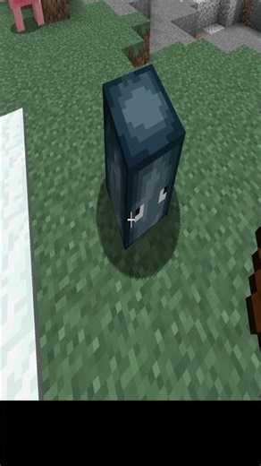 Minecraft Creative Mod , Spawning Squid